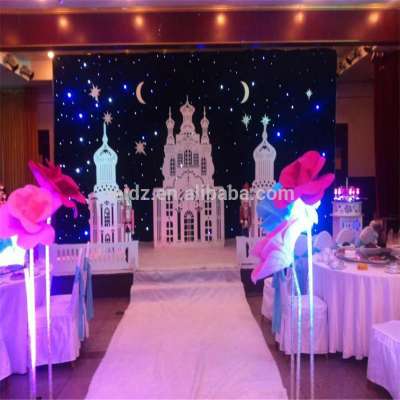 Beautiful star light wedding stage decoration